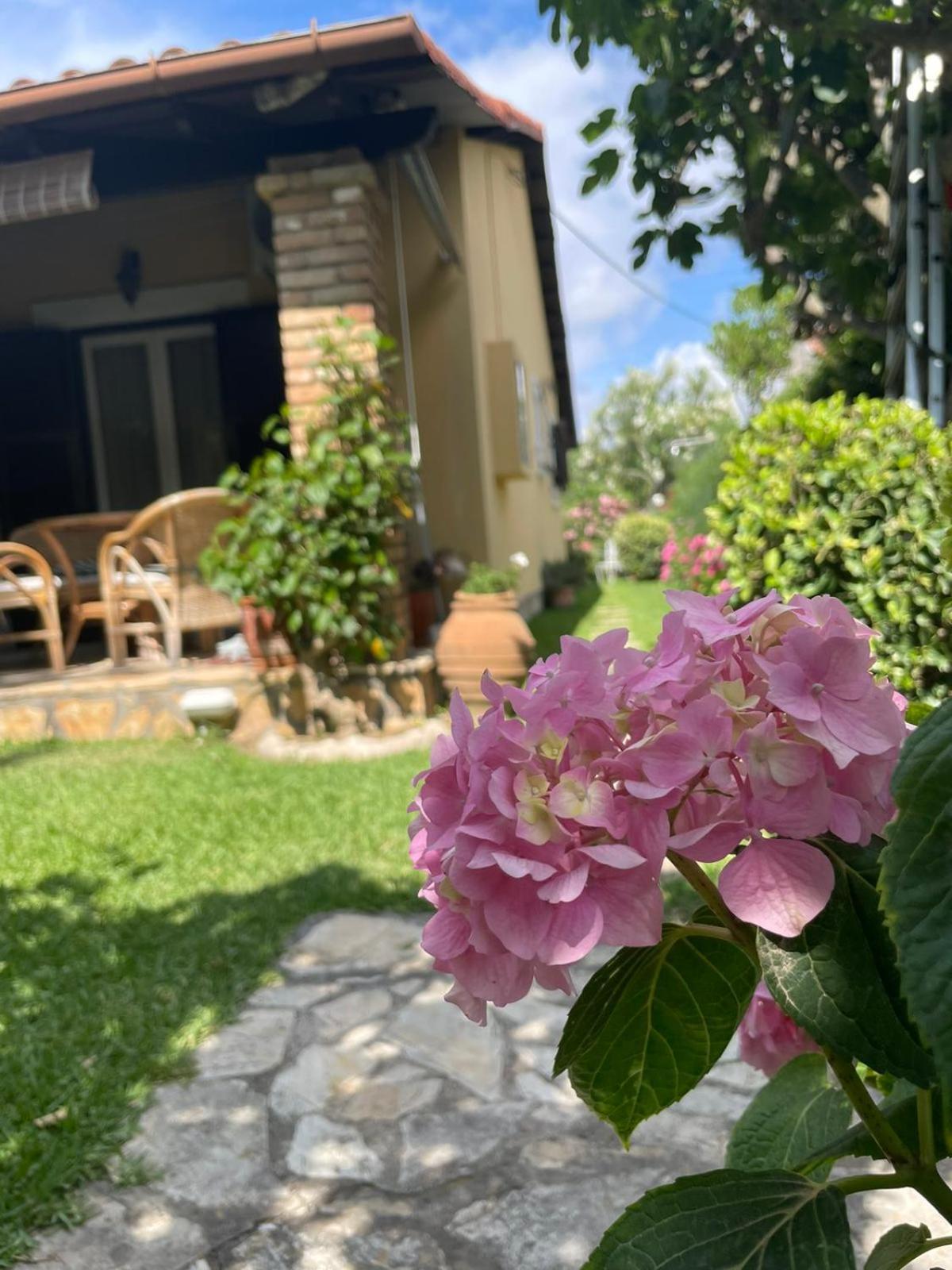 Villa Tina Country Beach Apartments Acharavi  Værelse billede