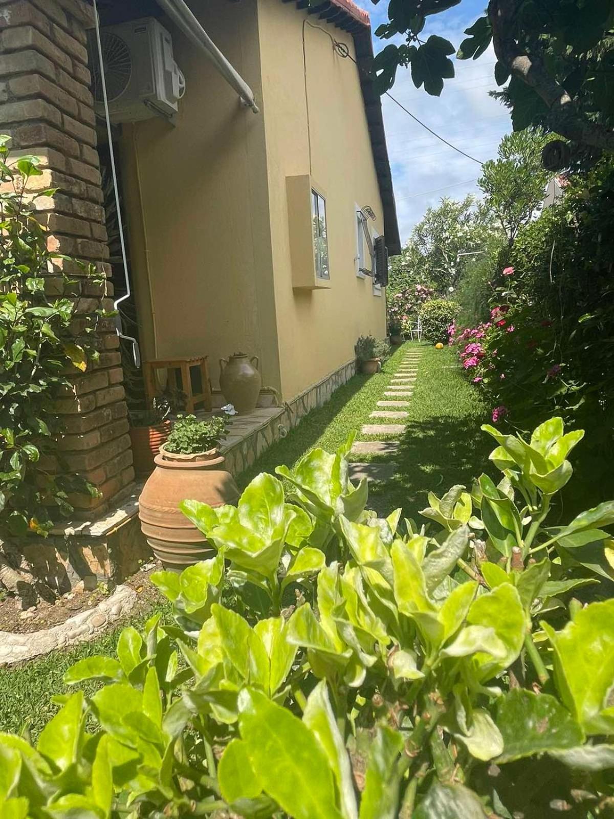 Villa Tina Country Beach Apartments Acharavi  Værelse billede
