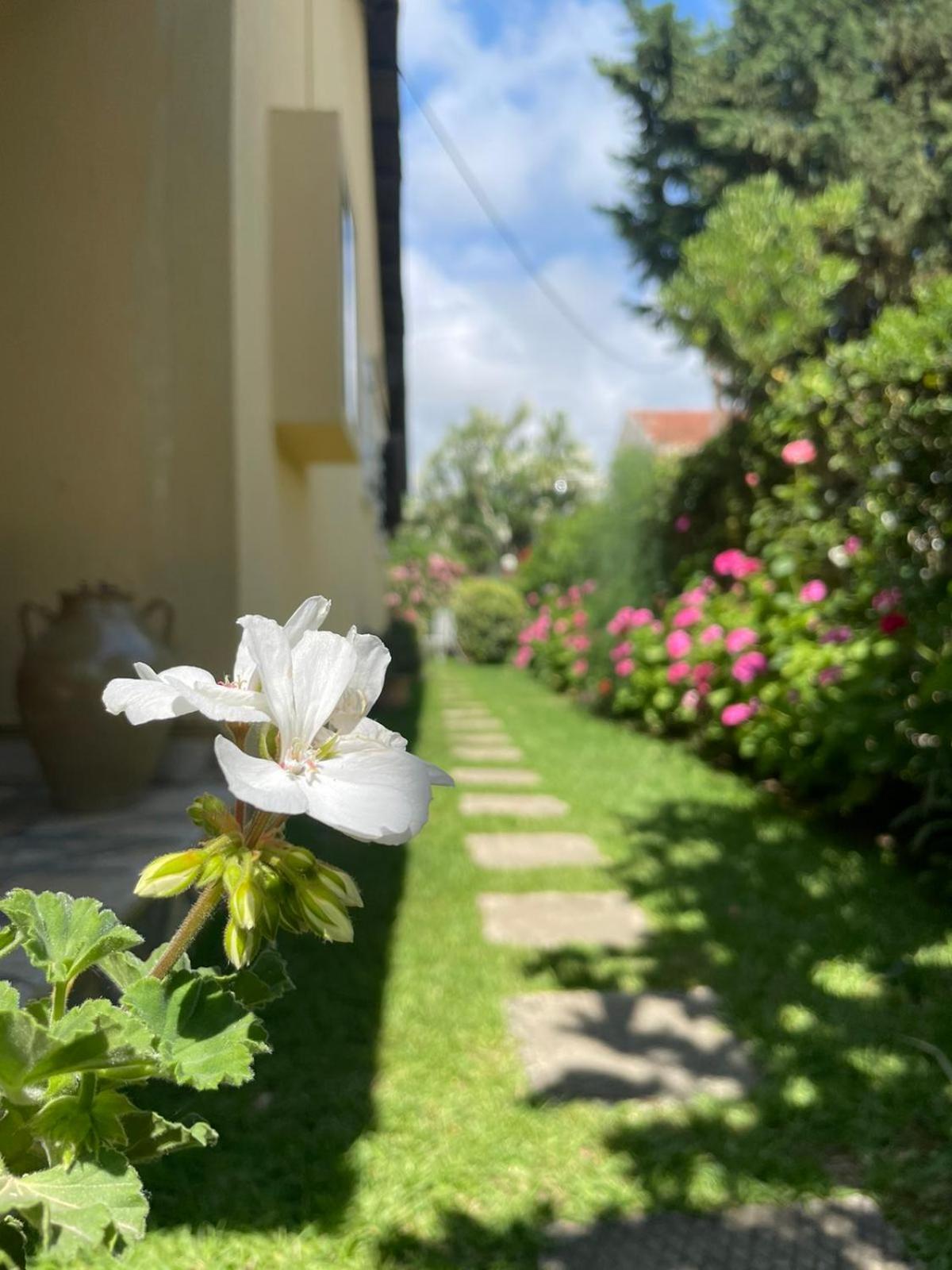 Villa Tina Country Beach Apartments Acharavi  Værelse billede