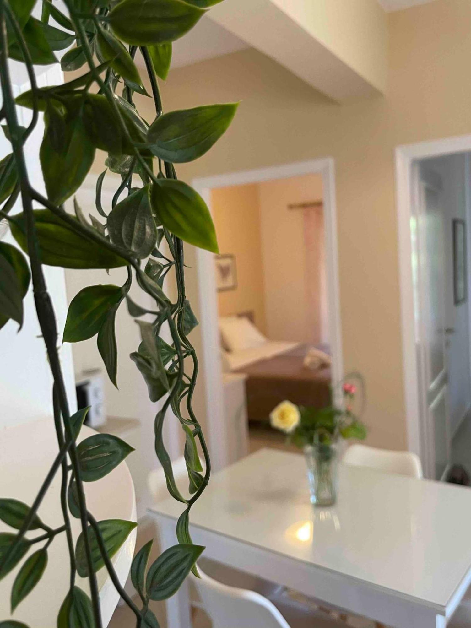 Villa Tina Country Beach Apartments Acharavi  Værelse billede